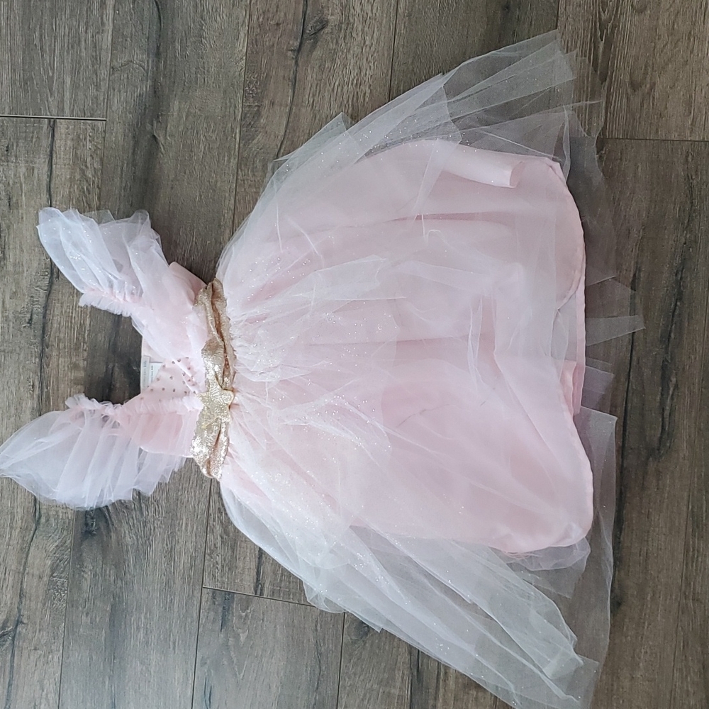 Pottery Barn Kids Buttefly Fairy Costume